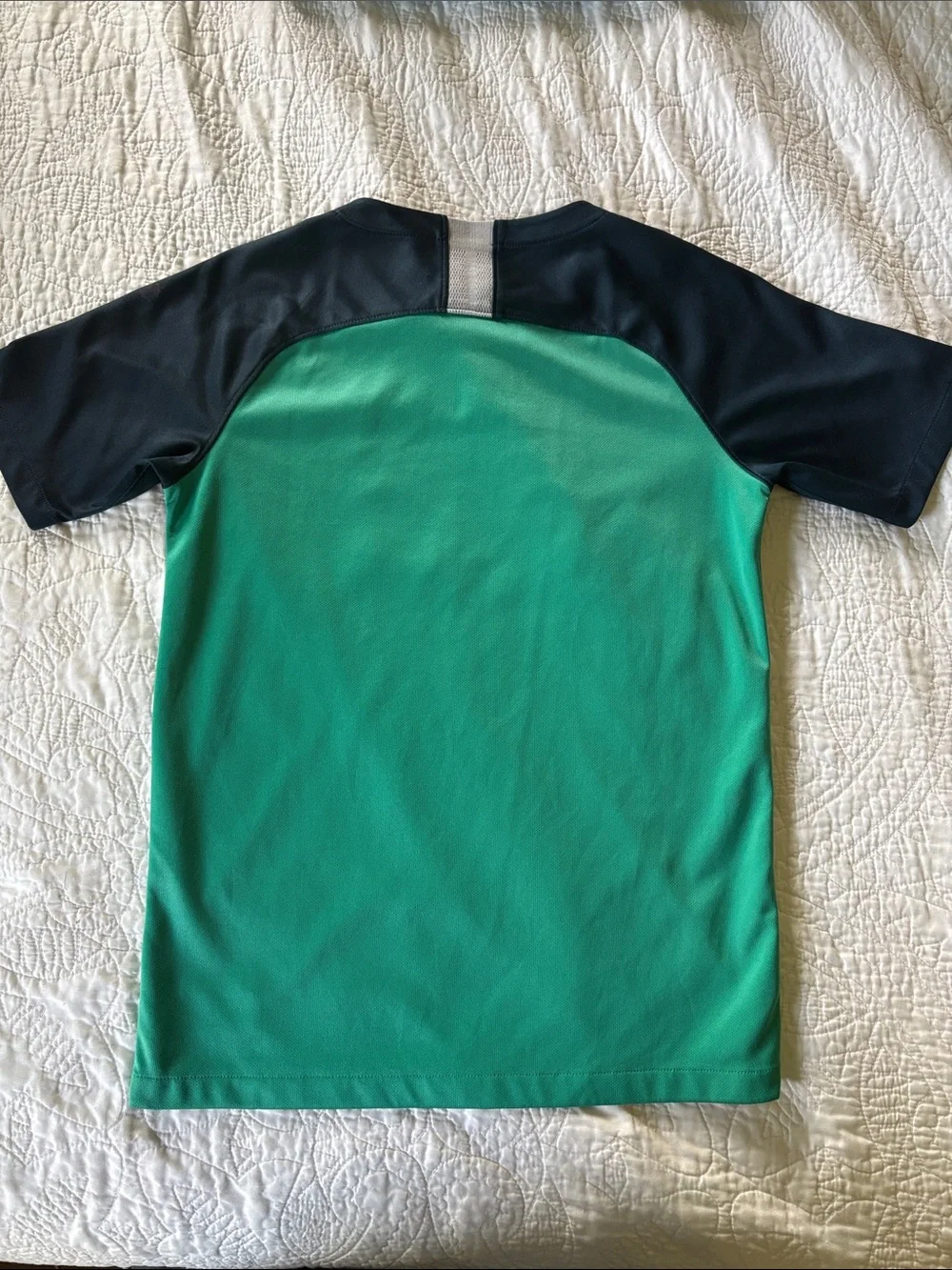 Nike Kids Green & Navy Tottenham Hotspur Soccer Jersey with AIA Logo